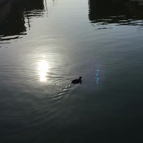 お知らせの画像