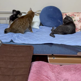 私の宝物❤️❤️の画像