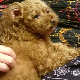 気持ちいいの…(^^)の画像