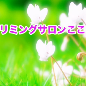 11月　〜スライドショー〜の画像