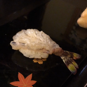 動くエビΣ（・□・；）の画像