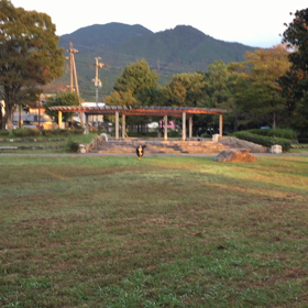 弾丸ツアーの目的(ღ˘⌣˘ღ)の画像