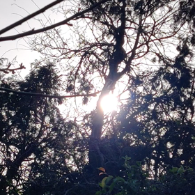 不快に思われるかもしれませんが・・・の画像