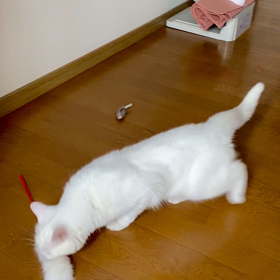 病は気から。の画像