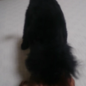 おに退治の画像