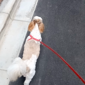 ６月５日の画像