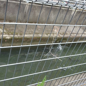 9月19日(木)☀️の画像