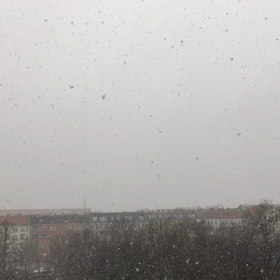 大きな雪が降る一日の画像