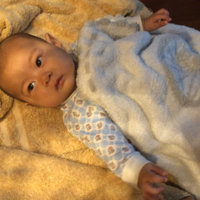 おもちゃVSジーコの画像