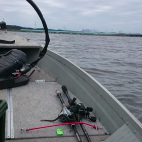 印旛沼本湖を航行　の画像