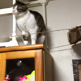 日に日にお財布が軽くなる…10万円寄付してよ！メルカリ、今朝の残念。の画像