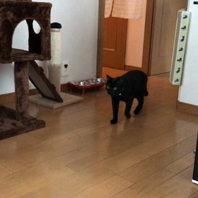 空空日記 28♪の画像