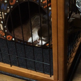 気にしない？の画像