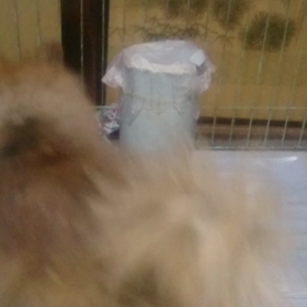 出たぁ？の画像