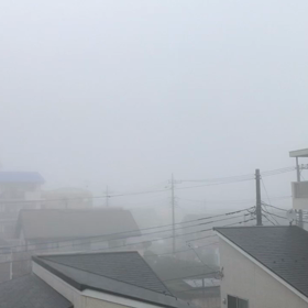 朝起きてびっくりしたの画像