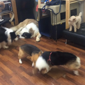 夕方のお遊びの画像