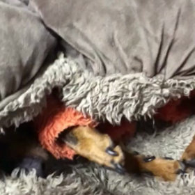 寝ぼけちゃったの画像