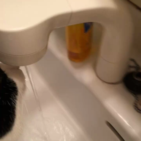 ガブガブの画像