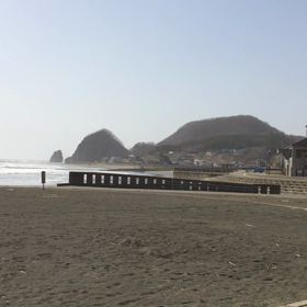 海とかもめと馬③の画像