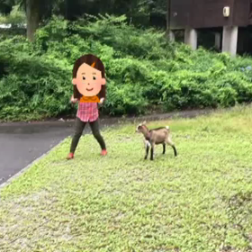 よーいドン❗️の画像