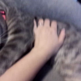 うっとりん。の画像