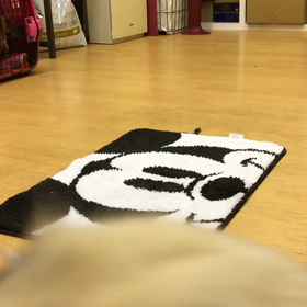 マットに行く（マロン編）の画像