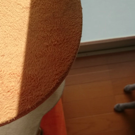 ブラッシングのルーティーンの画像