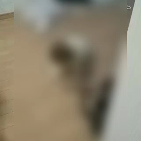 自分で座れるようになったの画像