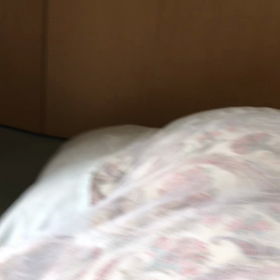 おはよう〜まぶしいにゃ…デール保護猫動画の画像