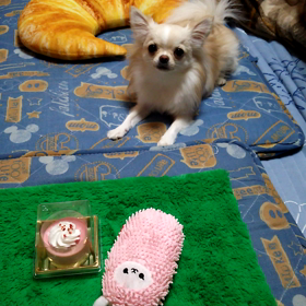 誕生日おめでとうの画像