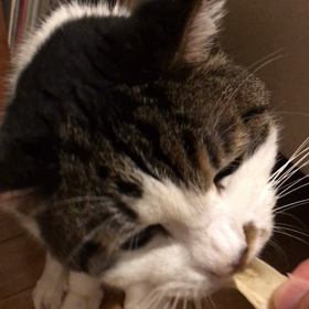 元気ですよの画像