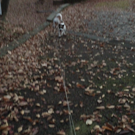 久々の〜の画像