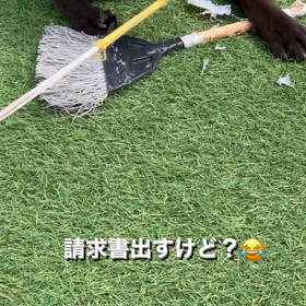 こんばんはの画像