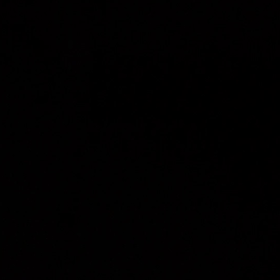 昨夜帰宅時の喜びワンコの画像