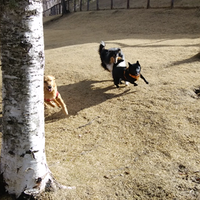 いつもの風景の画像