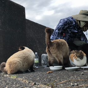 ”【お礼】夢が実現できました！「乗っかり力」をありがとう！の画像