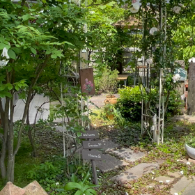 はじめて動画の画像