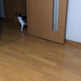 4時間通しの保育は初めて！デールが6歳を迎え鈍臭くなったの画像