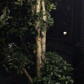 雪〜〜！の画像