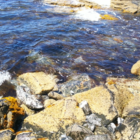 癒しの海動画編の画像