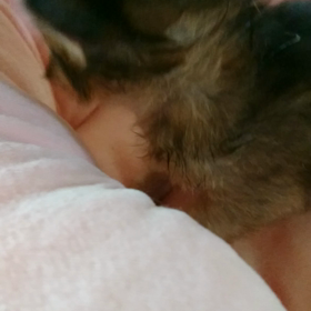 やっと半月(^-^)の画像