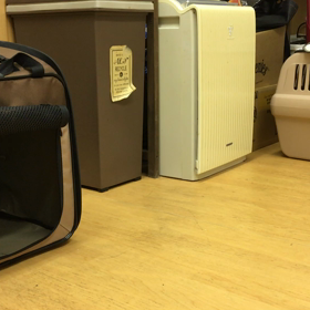 どこまで入れるかな？の画像