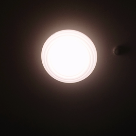 思い付きでワ～イルドラ～イフ∟(￣(工)￣)ノ！の画像