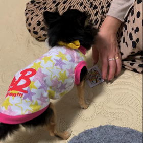 しつけ教室の宿題練習の画像