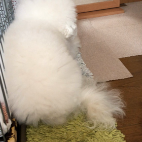 2月8日  返してくれんかなの画像