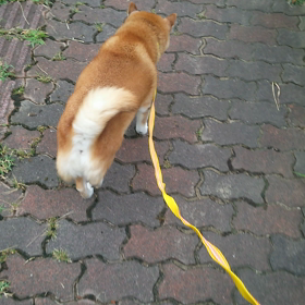 車好き♪の画像