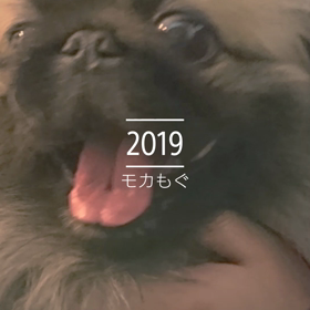 LOVE ＆ JOYの画像