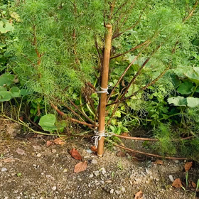 介護記録１５２（がんばれる）の画像