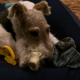 欲張りね〜の画像