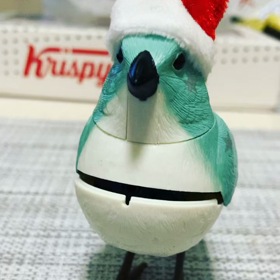 しんぎんぐばーどの画像